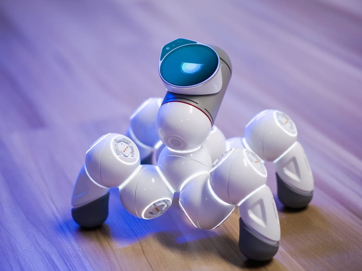 Close-up of a small toy robot on a floor