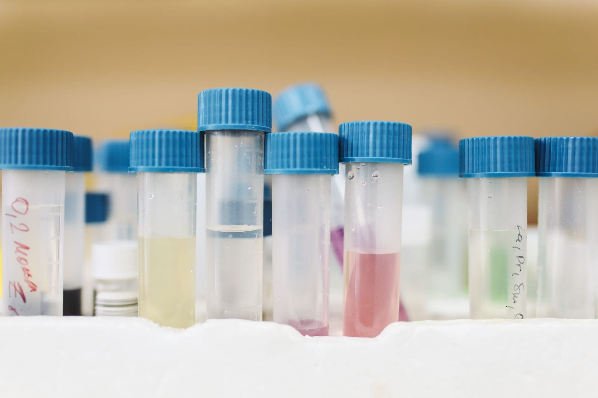 Colorful test tubes with blue caps in a laboratory